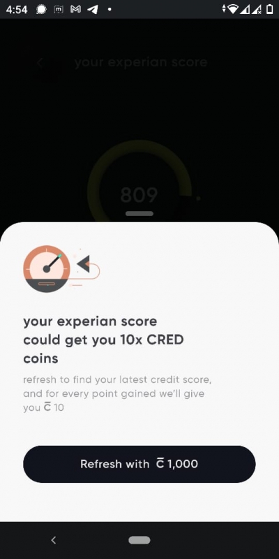 Credit score report